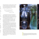 Illustration for article titled How H.R. Giger's Brilliant Madness Helped Make Alien "Erotic"